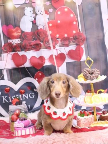 20250201サニーくん